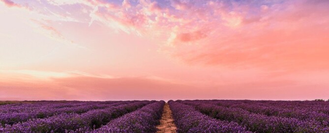 Advanced-Guide-to-Manifesting-What-You-Want