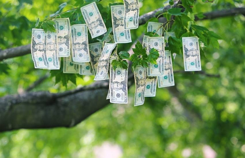 money-does-not-grow-on-trees-common-limiting-belief