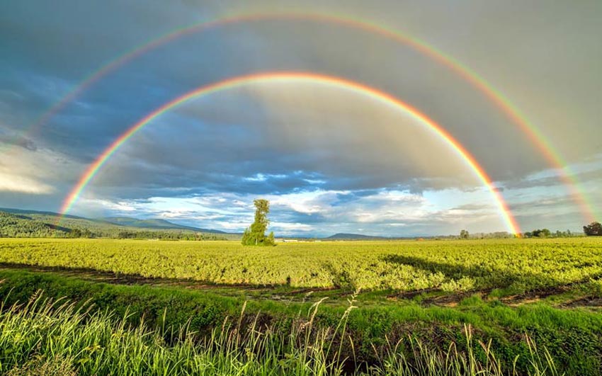 seeing-rainbows-signs