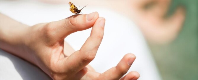 Meditation Statistics